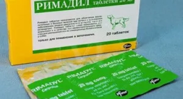 Характеристики на използването на римадалния анти -възпалителен агент за кучета